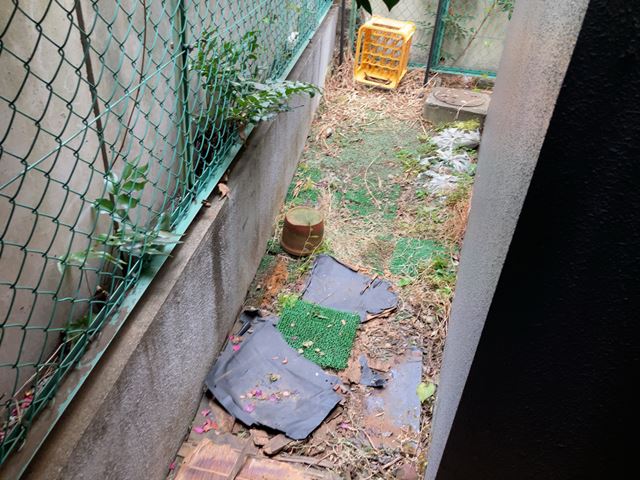 東京都文京区水道の不用品回収後の様子です。